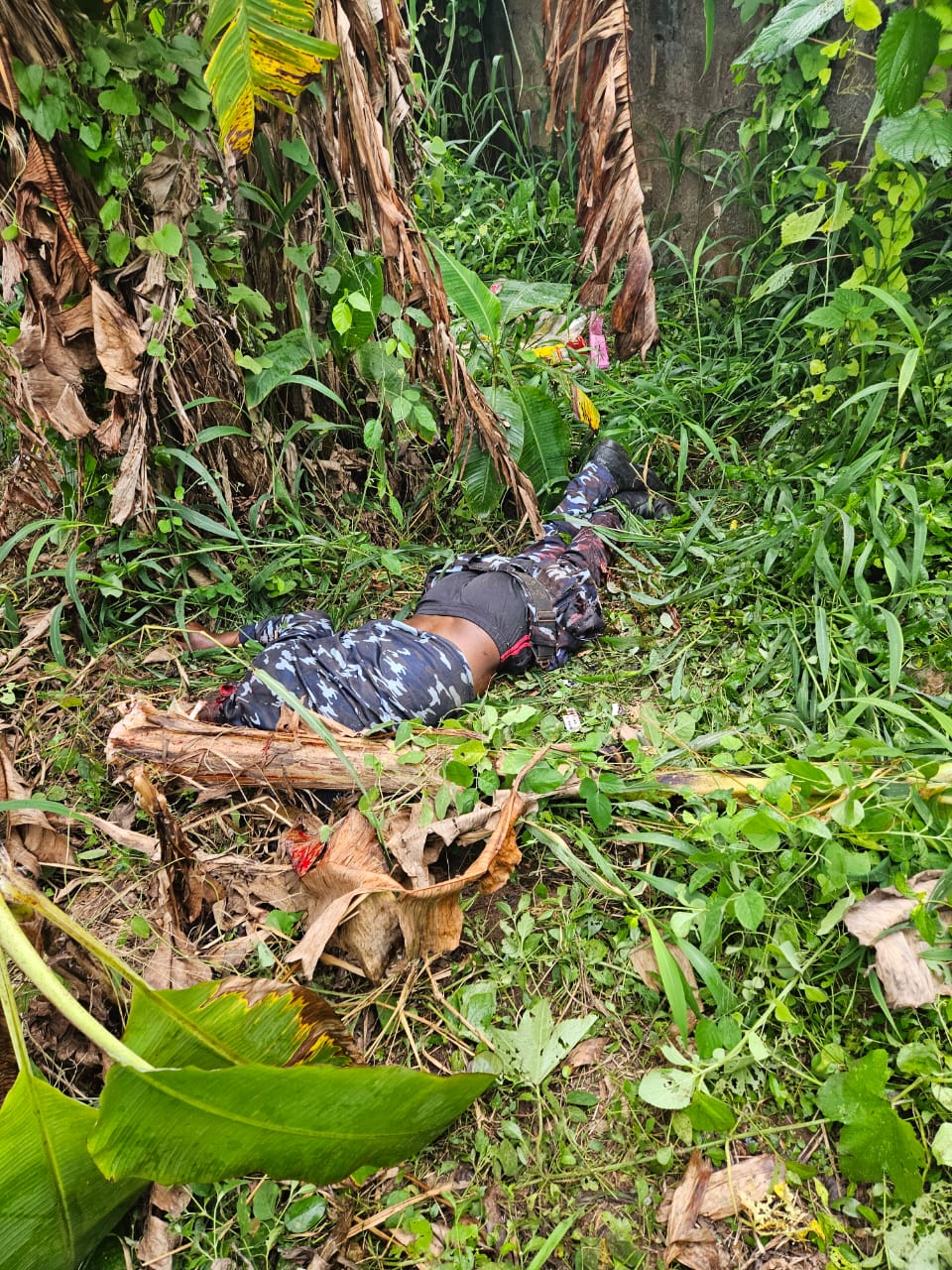 Policeman Fatally Shot, Another Injured in Gunmen Ambush at Anambra Checkpoint