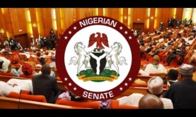 Nigerian Senators' Monthly Paycheck Revealed by Revenue Commission