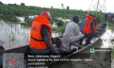 NEMA Evaluates Flood Impact in Numan LGA, Adamawa State [Photos]