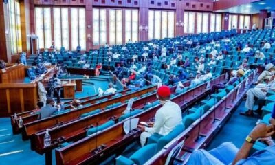 Nigerians Who Fail To Recite National Anthem,10-year Prison Sentence, N5Million Fine - House Of Reps