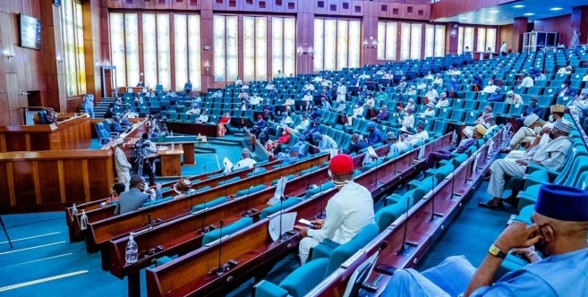 Nigerians Who Fail To Recite National Anthem,10-year Prison Sentence, N5Million Fine - House Of Reps