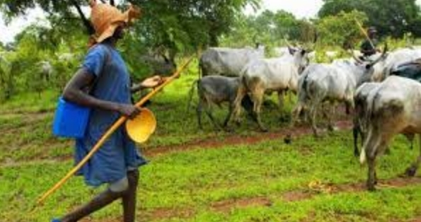 Farmer-Herder Tensions Escalate in Adamawa, Resulting in 3 Fatalities and 8 Injuries