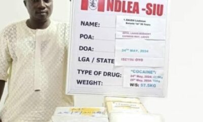 Three Kingpins, 16 Others Jailed for 302 Years in Nigeria's Largest Drug Trafficking Case