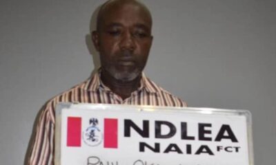 Nigerian Businessman Caught in Cocaine Sting at Abuja Airport, Excretes 88 Pellets