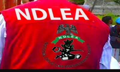 NDLEA Makes Drug Tests Mandatory for Fresh University Students