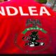 NDLEA Makes Drug Tests Mandatory for Fresh University Students