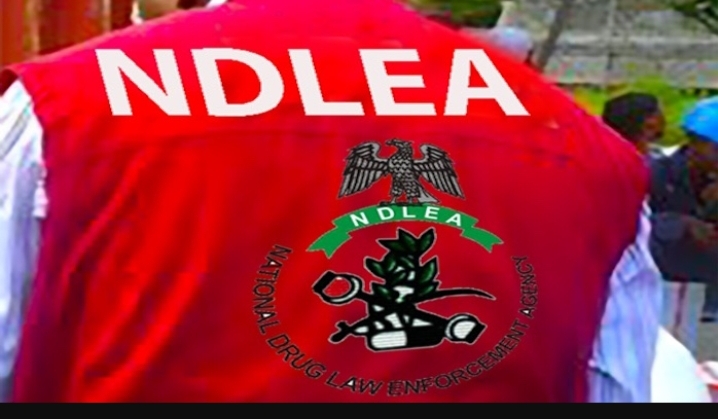 NDLEA Makes Drug Tests Mandatory for Fresh University Students