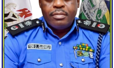 The Role of Nigeria Police Force Secretary: Olarewaju Yomi Oladimeji's Core Functions