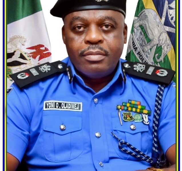 The Role of Nigeria Police Force Secretary: Olarewaju Yomi Oladimeji's Core Functions