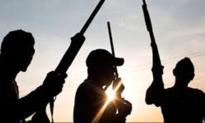 Nasarawa State Horror: Gunmen Slay Teacher, Kidnap 9 Others, Including Children