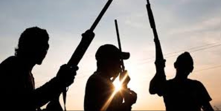 Nasarawa State Horror: Gunmen Slay Teacher, Kidnap 9 Others, Including Children