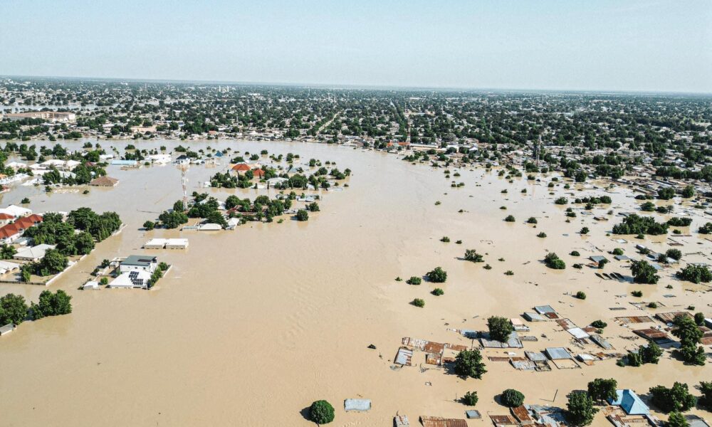 Maiduguri Floods: Residents Forced to Flee as Waters Overrun Major Streets [Photos]