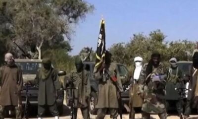 Boko Haram Butchers 87 in Yobe, Survivors Reveal Brutal Details of Massacre Near Shekau's Hideout