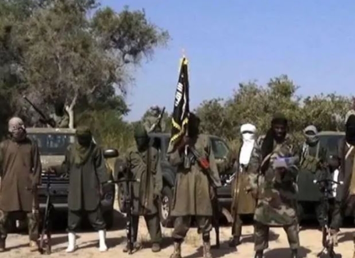 Boko Haram Butchers 87 in Yobe, Survivors Reveal Brutal Details of Massacre Near Shekau's Hideout