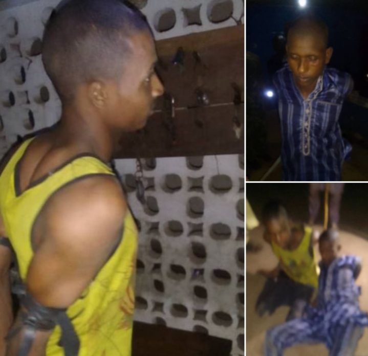 Ogun Police Arrest Three Suspects in Connection with Kidnapping and Murder of Teenage Cattle Herder