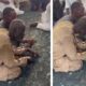 Kidnappers Who Murdered Two Victims Despite N9m Ransom Caught in Bauchi [Video]