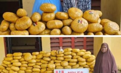 NDLEA Nabs Community Leader's Family Members Over Drug Offenses [Photos]