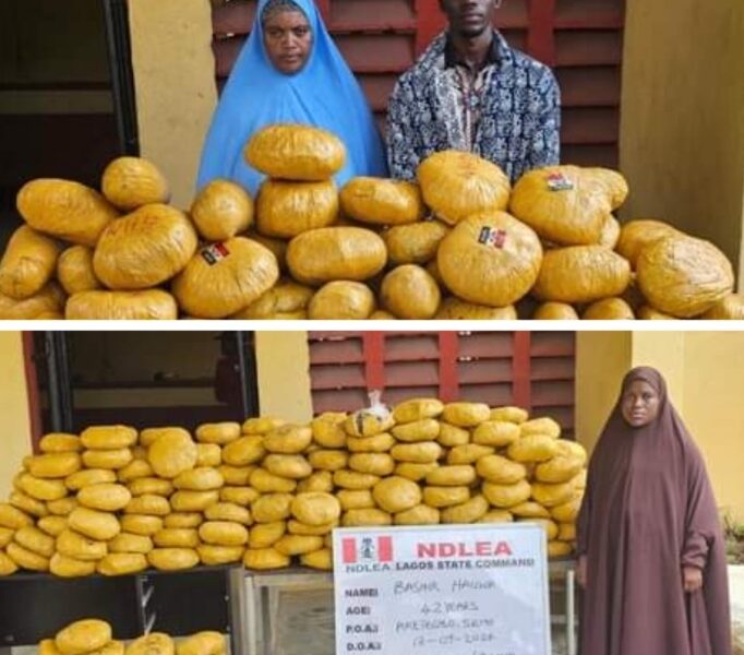 NDLEA Nabs Community Leader's Family Members Over Drug Offenses [Photos]