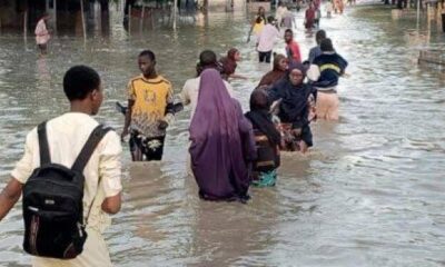 Federal Government Awards Contracts for Road, Bridge Construction in Borno, Adamawa, Enugu, Others