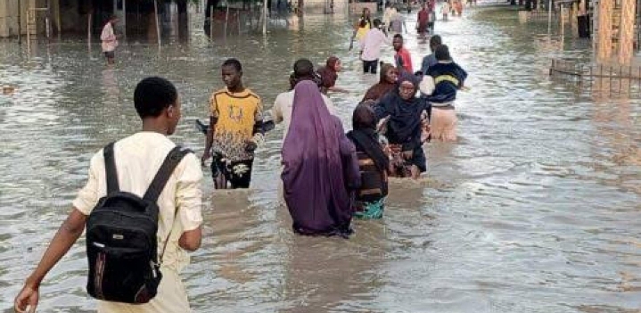 Federal Government Awards Contracts for Road, Bridge Construction in Borno, Adamawa, Enugu, Others