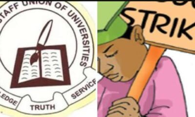 Strike Alert: ASUU Issues 14-Day Ultimatum to Tinubu's Government