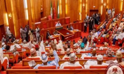 SWDC: Senate Approves Bill for South West Development