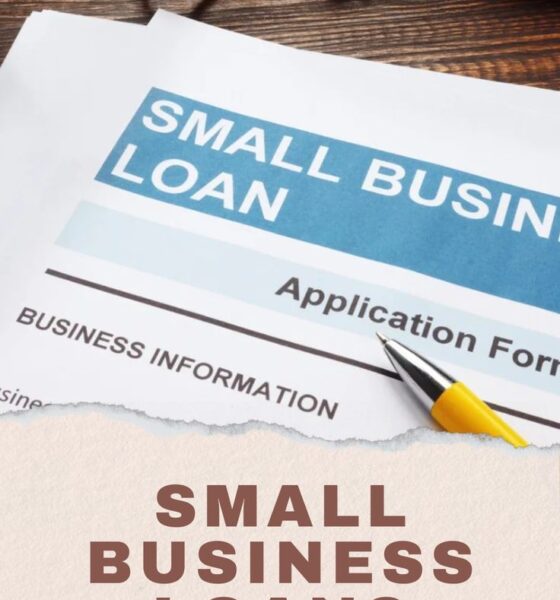 Best Small Business Loans for Startups: 2024 Guide