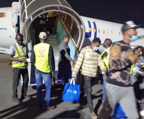 NEMA Welcomes 180 Stranded Nigerians Returning from Libya