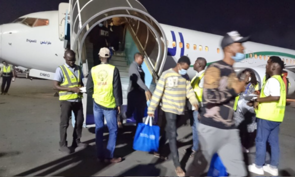 NEMA Welcomes 180 Stranded Nigerians Returning from Libya