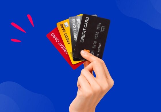 Earn More Cash Back: Top Credit Cards for November 2024