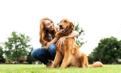 Top Credit Cards for Pet Owners: A Comprehensive Review