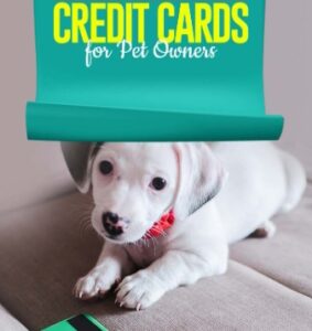 Top Credit Cards for Pet Owners: A Comprehensive Review